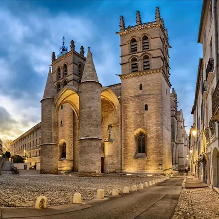 Relax Dans Le Sud Montpellier